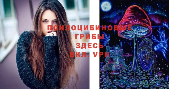 скорость Белокуриха